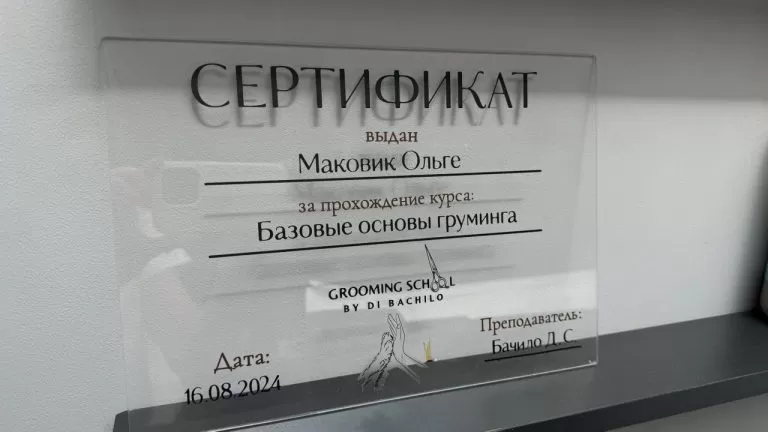 Сертификаты и дипломы из оргстекла