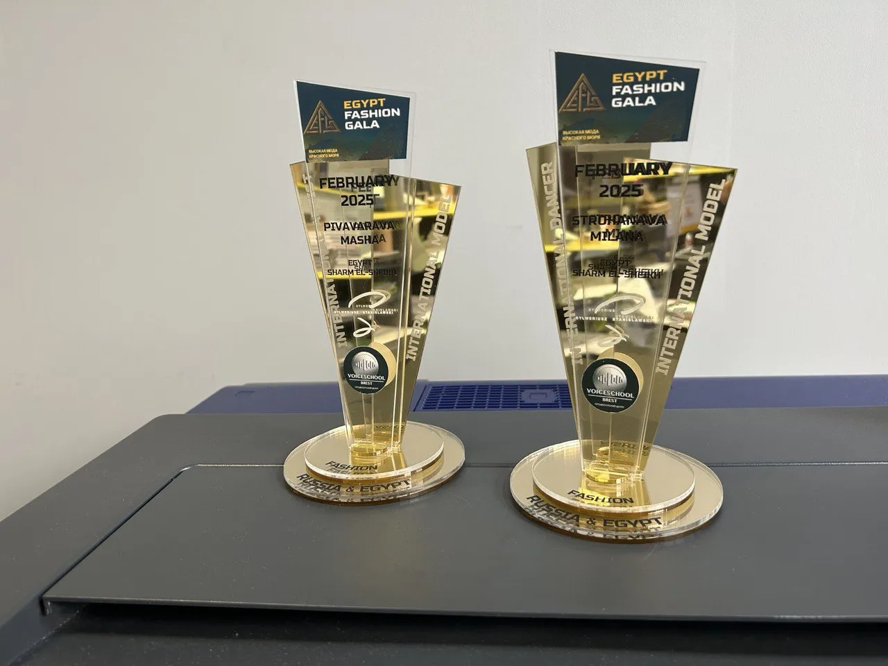 Статуэтка из золотого оргстекла с логотипом и номинацией